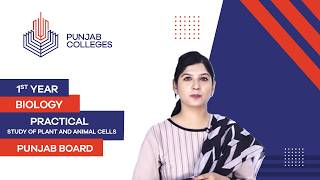 PGC Lectures-Inter Part I-Punjab Board-Biology Practical- Lecture 2- Study of Plant And Animal Cells