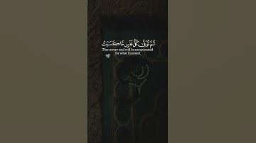 ﴿ واتقوا يوما ترجعون فيه إلى الله ﴾   الآية ٢٨١  -- سورة البقرة