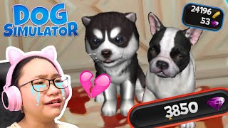 Dog Simulator - They're SOOO CUTE and EXPENSIVE!! screenshot 2