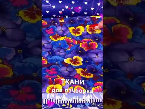 1 ноября 2023 г.
