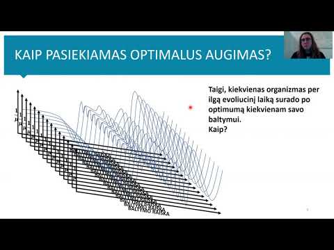 Video: KAS YRA mašinos gamtos mokslų olimpiadoje?