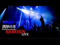 【REBORN】(歌詞付き)『2024.10.19 RISING SUN TOUR 2024 FINAL 品川プリンスホテル club EX』LIVE映像