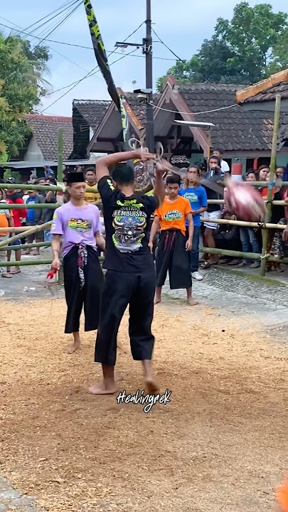 Awas Caplokan Mobat Mabit #bantengan #mberot #shorts #short #shortvideo