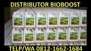 HP WA 0812 1662 1684 T Sel Pupuk Cair Untuk Cengkeh Pupuk Cair Untuk Buah Pupuk 