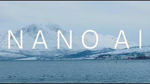 NanoAI - nanoscale artificial intelligence in microscopy and nanoscopy for life sciences