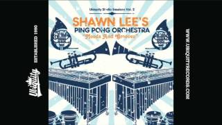 Shawn Lee's Ping Pong Orchestra: Indian Summer - YouTube