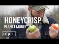 Honeycrisp vs Red Delicious - How We Finally Got Good Apples | Planet Money | NPR