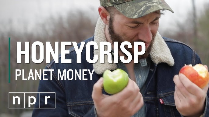 Why are Honeycrisp apples still so expensive?