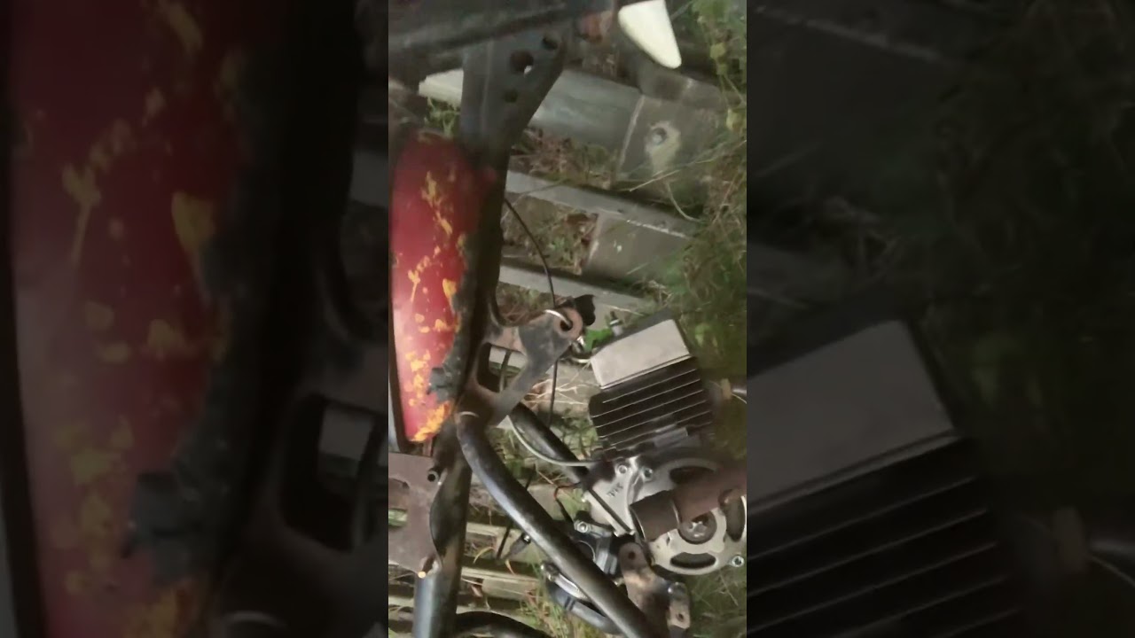 Honda qa50 engine swap zpf 