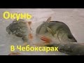 Диалоги о рыбалке - 198 - Рыбалка в Чебоксарах.