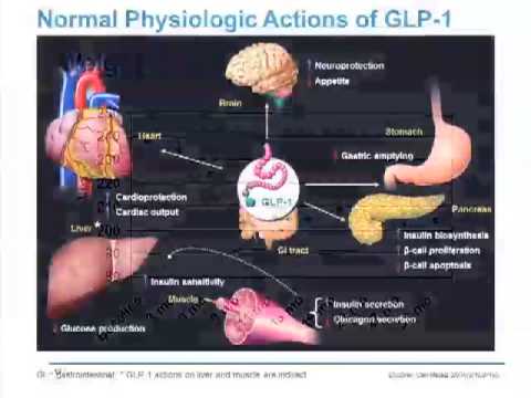 Video: Perbandingan Keberkesanan Antara Terapi Berasaskan Incretin Untuk Diabetes Mellitus Jenis 2