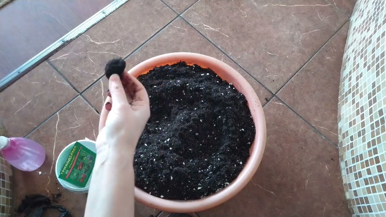 ГРУНТ для рассады. Лёгкий, питательный, отличный! 