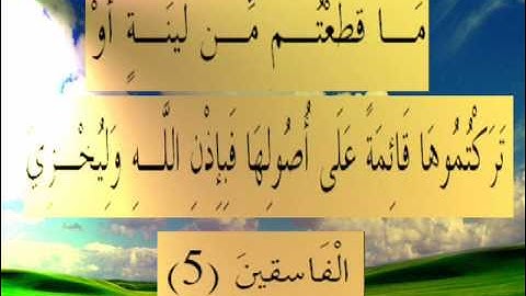 القرأن الكريم سورة الحشر الأية 5.wmv
