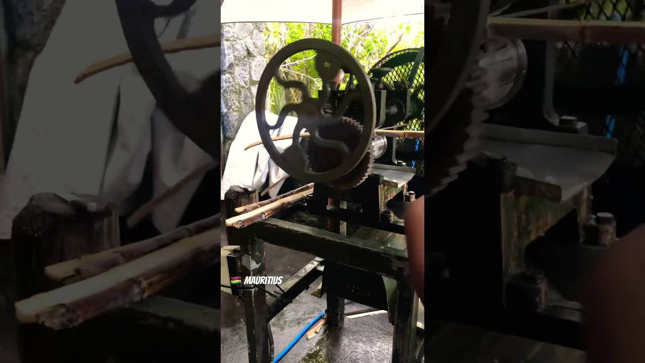 🇲🇺 Mauritius | sugarcane manufactory 