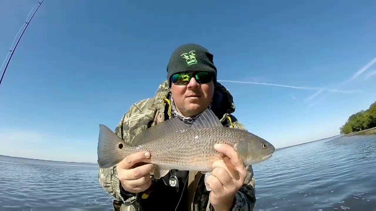 Extremely Low Tide Fishing! YouTube