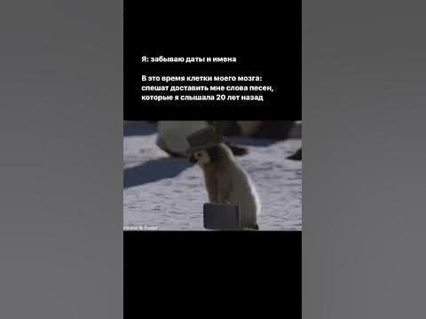 Насколько хороша реакция Тора? #мстителимарвел #мстители #марвел #кино