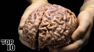 Top 10 Amazing Facts About The Human Brain