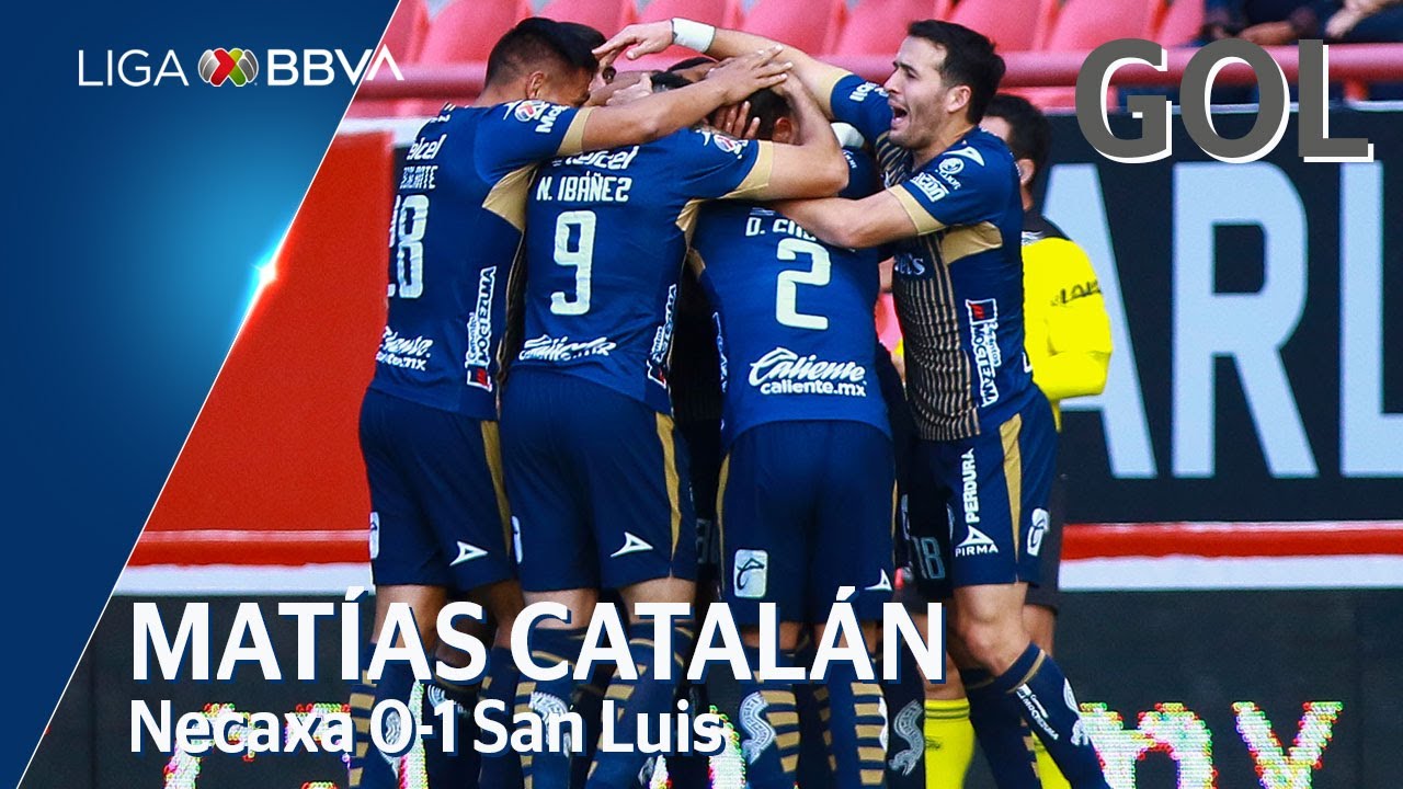 Gol de M. Catalán | Necaxa 0 - 1 San Luis | Liga BBVA MX - CL 2020 ...