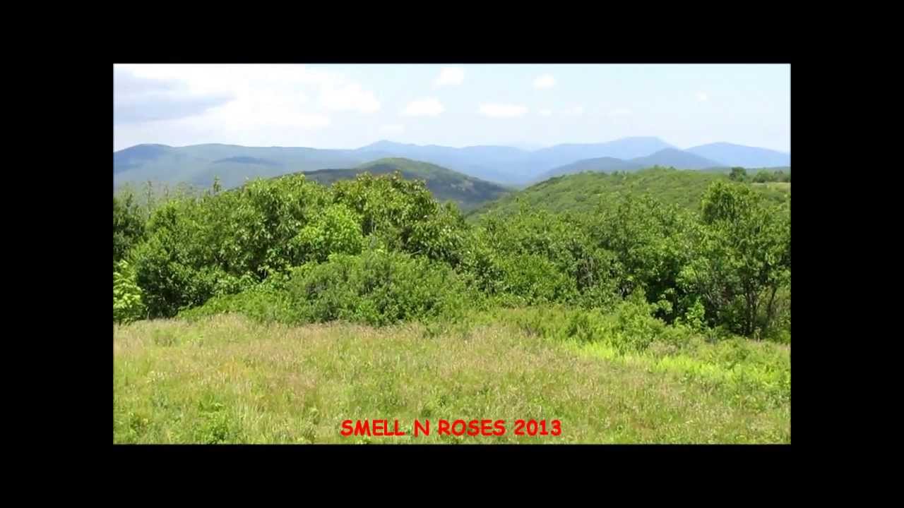 Hiking in Virginia:  Mount Pleasant National Scenic Area and Cole Mountain Appalachian Trail