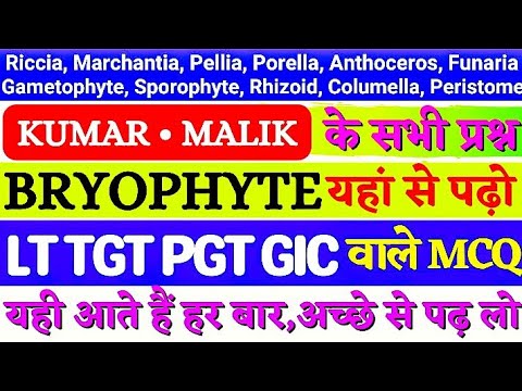Bryophyta | Most Important Questions - 2 LT/TGT/PGT/GIC BIOLOGY, DSSB/KVS SCIENCE by manish tutorial