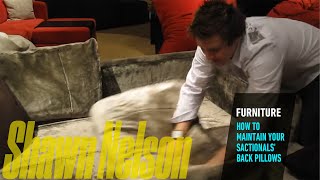 HOW TO MAINTAIN YOUR SACTIONALS' BACK PILLOWS | Shawn Nelson | CEO of LOVESAC