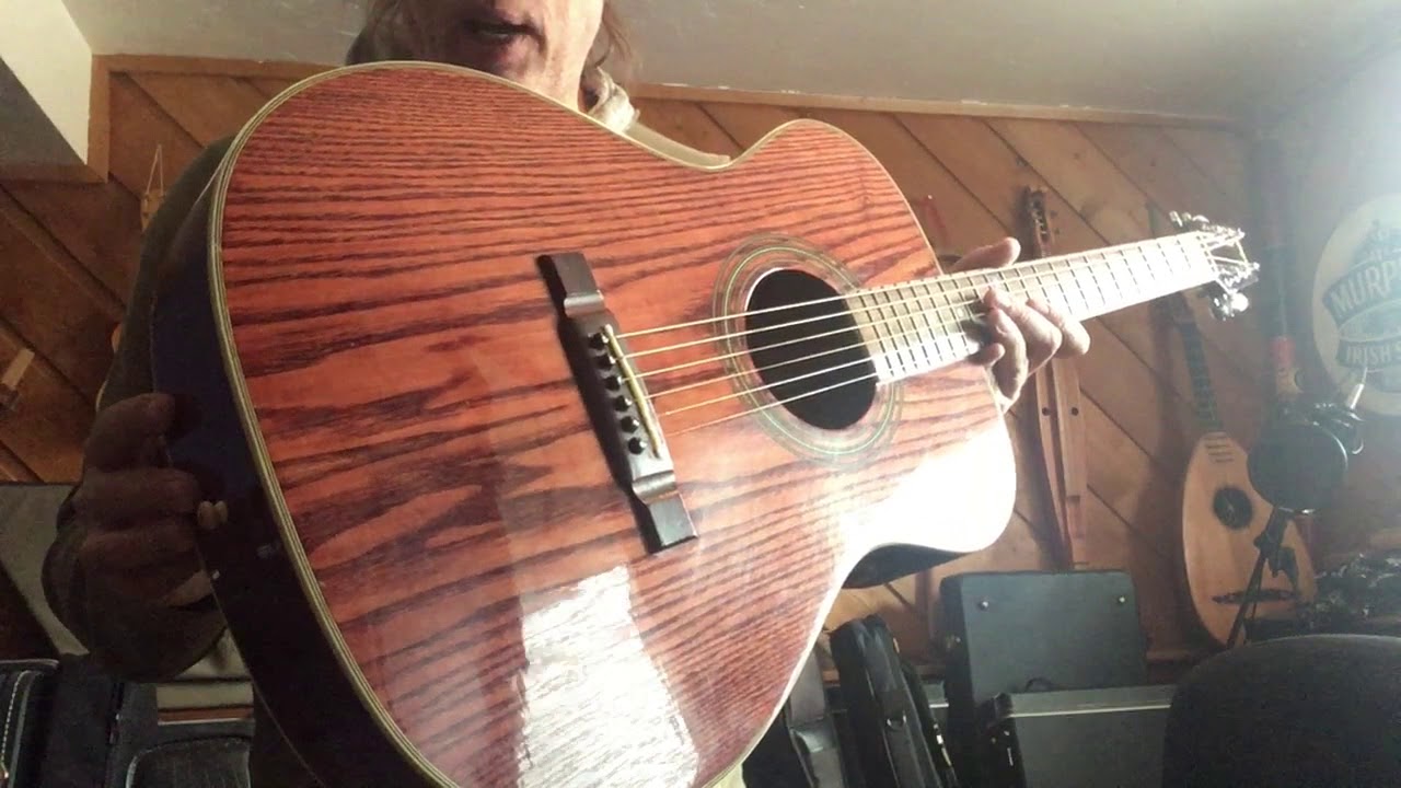 Washburn F11 BR Folk Guitar YouTube