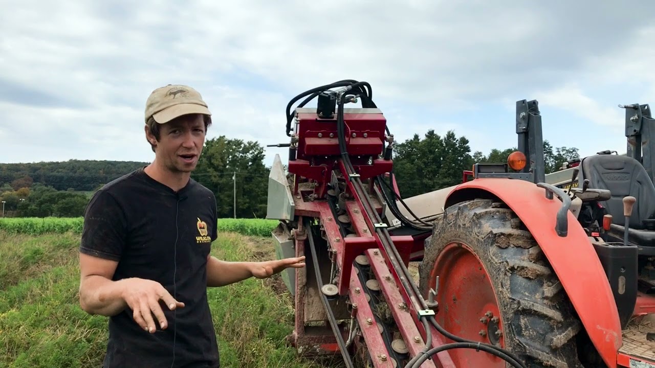 Saving Labor Harvesting Carrots with the Univerco Mini-Veg at Alewife Farm
