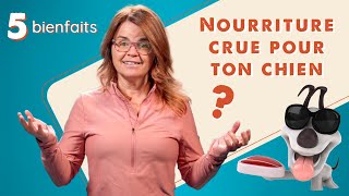 Tous les bienfaits de la nourriture crue pour chien