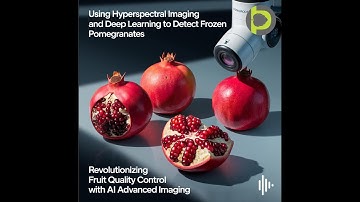 AI in Agriculture 001: Using Hyperspectral Imaging and Deep Learning to Detect Frozen Pomegranates