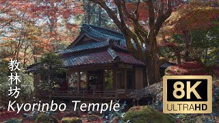 Kyorinbo Temple - Shiga - 教林坊