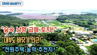 “South-facing land in the forest near the beach! Why is it on the market for sale” Daebudo Real ...