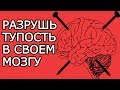 Вбей эти 7 умных мыслей в мозг чтобы разрушить его тупость – Лучшие Мудрые мысли для саморазвития