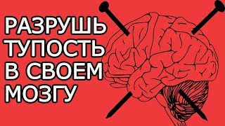 Вбей эти 7 умных мыслей в мозг чтобы разрушить его тупость – Лучшие Мудрые мысли для саморазвития