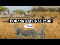 Visit Oromia Borana National Park 