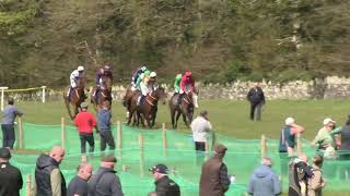 P2P  Curraghmore  20 Apr 2024  R2  D2 Goffs Punchestown Sale 4yo Geldings Maiden