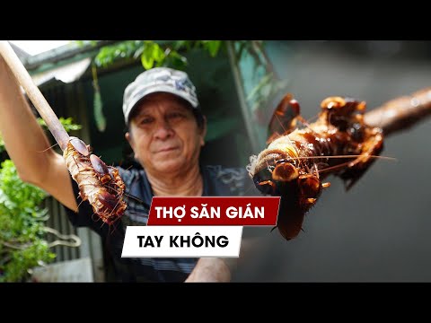 Thợ săn gián tay không độc nhất Sài Gòn