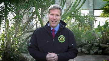 Mayor Keller Knows Best - Trees are good for Albuquerque!