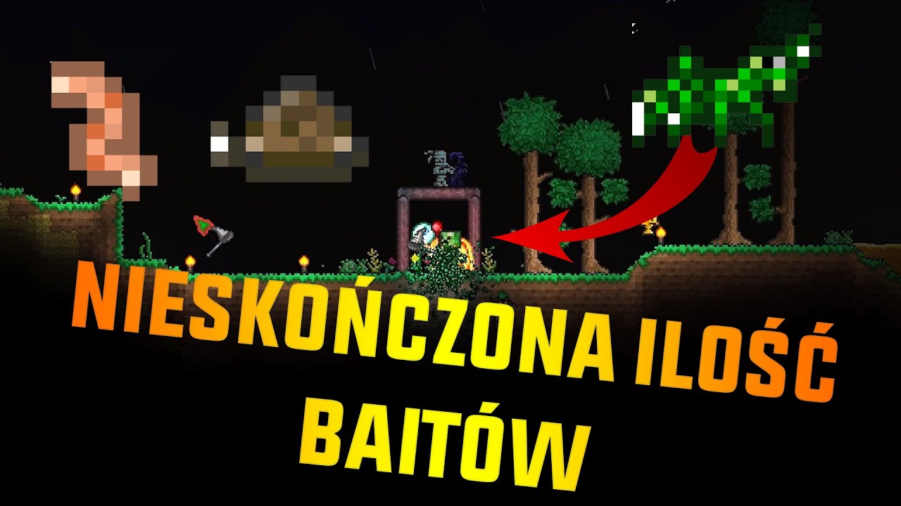 NIESKOŃCZONA ILOŚĆ BAIT'ÓW ?!?