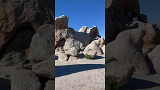 It Really Does Look Like An Eagle