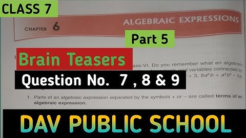 Dav  Class 7 Maths Chapter 6 Brain Teasers || Algebraic Expressions || @madhubanclasses #davmaths