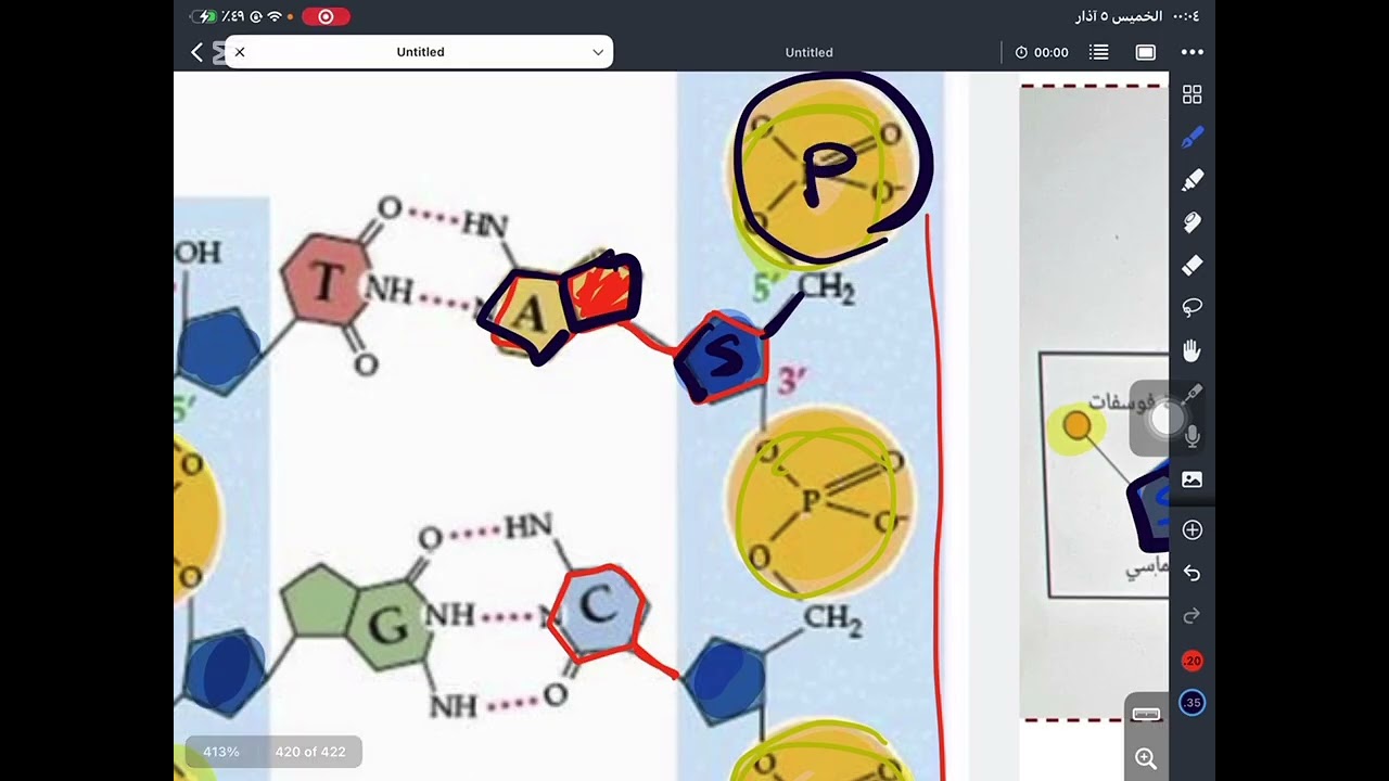 الجزء الاول من تركيب DNA 