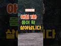 아침 1분으로  몸이 확  살아납니다 #아침스트레칭 #건강루틴 #기상습관 #몸풀기 #샘솟는건강
