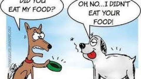 Уроk 12 - Вопрос и отрицание(Past Simple Tense)Прошедшее время