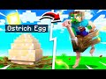 TAMING the WORLDS FASTEST BIRD in Minecraft!