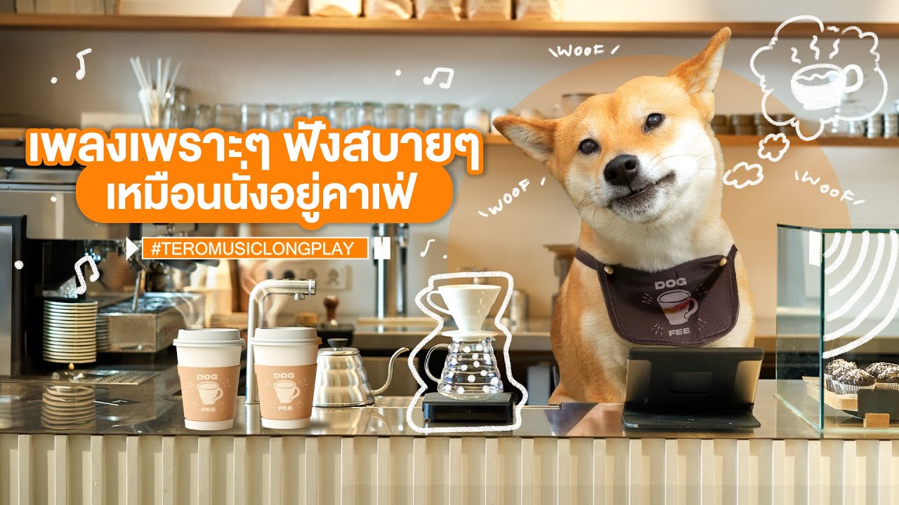 เพลงเพราะๆ ฟังสบายๆ เหมือนนั่งอยู่คาเฟ่ - Music Longplay