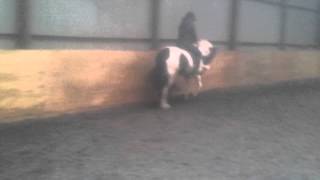 Molly flatwork
