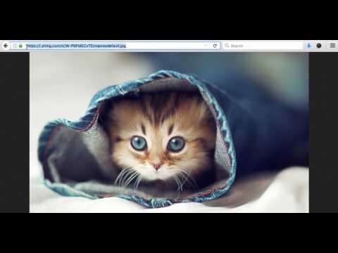 Website Diary 08 - The Box Model