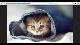 Website Diary 08 - The Box Model