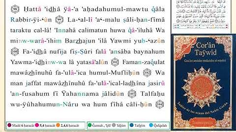 ختمة من مصحف التجويد باللغة الإسبانية الصفحة رقم 348