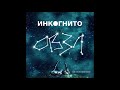 Инкогнито - Не имеет значения